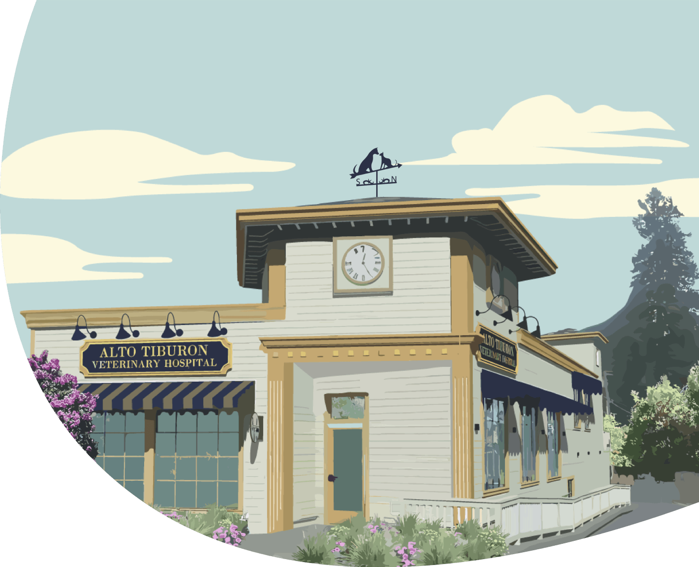 Our Building